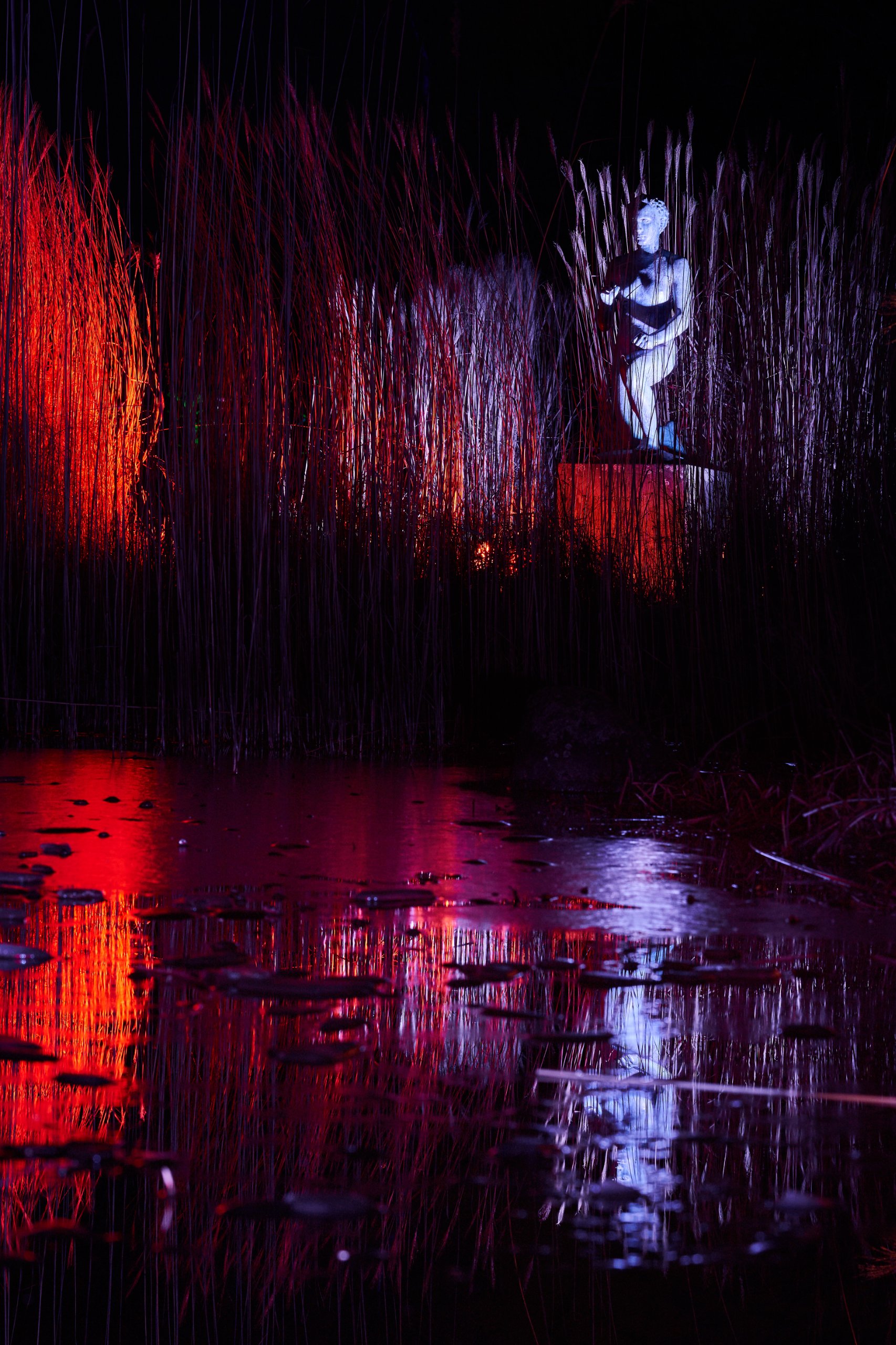 2023 01 24 Parkleuchten 0390